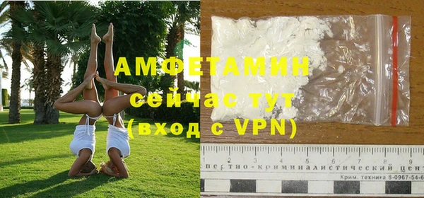 прущие грибы Майский