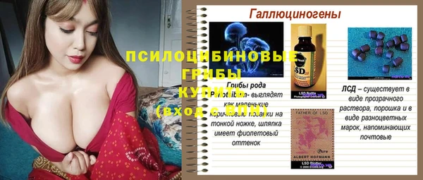тгк Дедовск