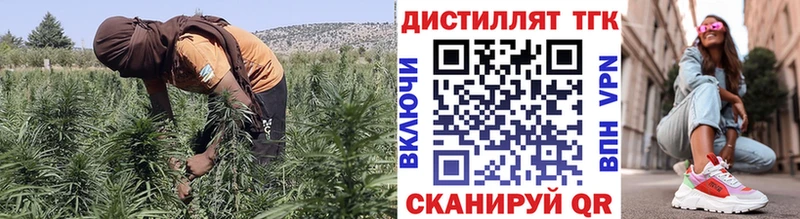 Купить где  Камешково  Дистиллят ТГК Wax 