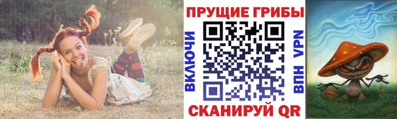 Купить закладки  Камешково  Галлюциногенные грибы Psilocybe 