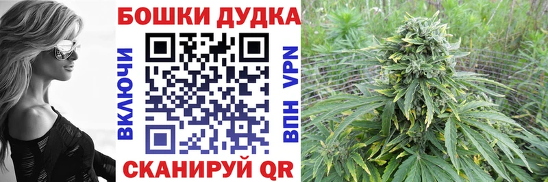 Купить где  Камешково  Марихуана конопля 